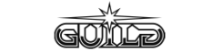 Guild Esports